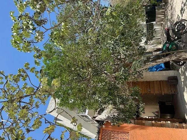 Studio W/Plunge Pool & Kitchen Tulum Mexico